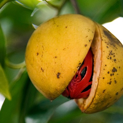 My India Trip –&nbsp;Spices