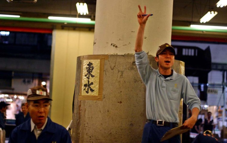 Tuna auction at the market
