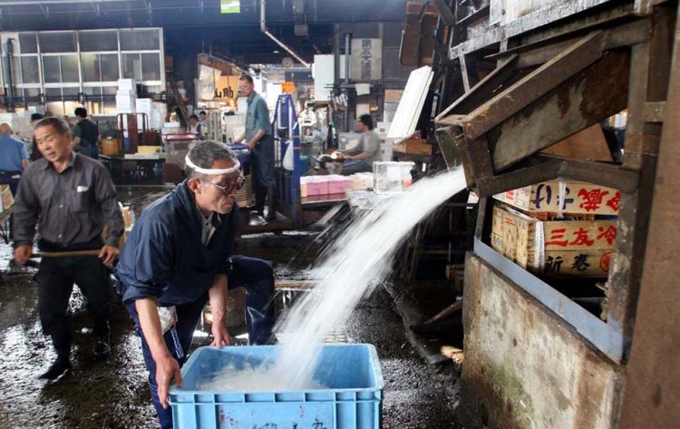 Ice for packing fish
