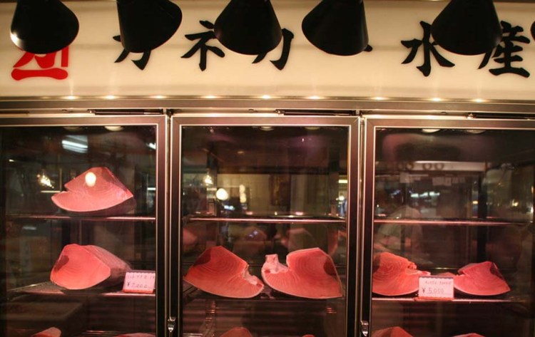 High grade tuna on display at the market